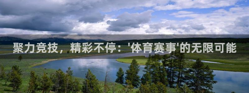 聚力竞技，精彩不停：\'体育赛事\'的无限可能