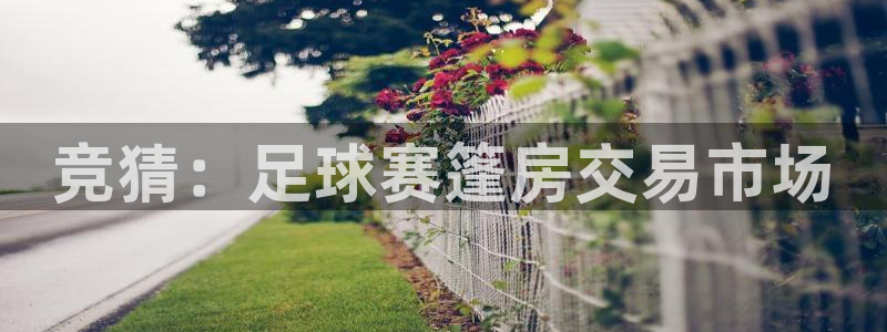 竞猜：足球赛篷房交易市场