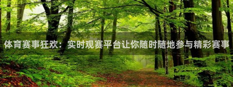 体育赛事狂欢：实时观赛平台让你随时随地参与精彩赛事