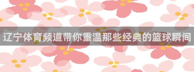 辽宁体育频道带你重温那些经典的篮球瞬间