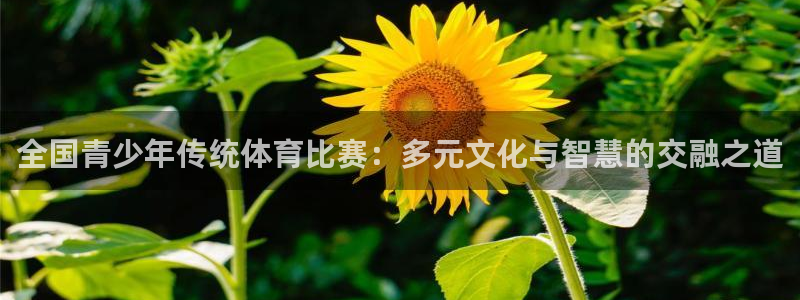 全国青少年传统体育比赛：多元文化与智慧的交融之道