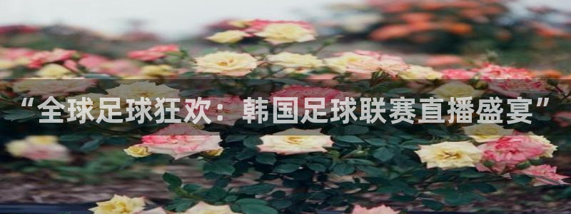 “全球足球狂欢：韩国足球联赛直播盛宴”