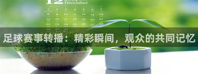 足球赛事转播：精彩瞬间，观众的共同记忆