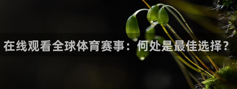 在线观看全球体育赛事：何处是最佳选择？
