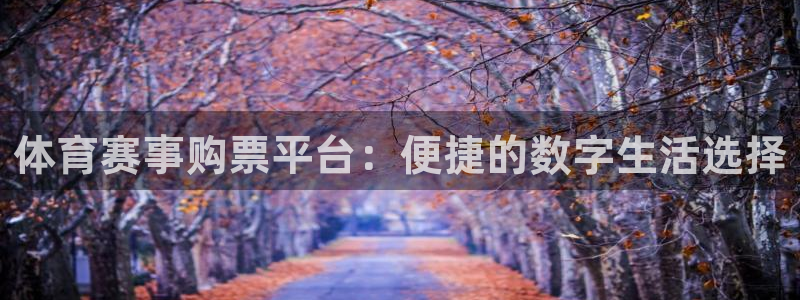 体育赛事购票平台：便捷的数字生活选择