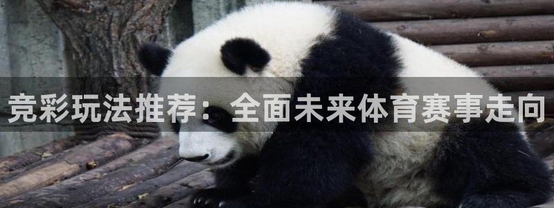 竞彩玩法推荐：全面未来体育赛事走向