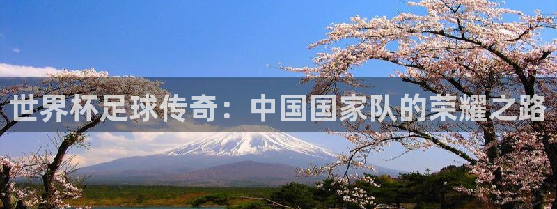 世界杯足球传奇：中国国家队的荣耀之路