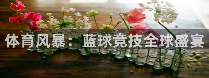 体育风暴：蓝球竞技全球盛宴