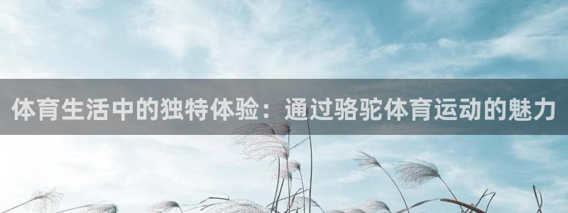 体育生活中的独特体验：通过骆驼体育运动的魅力