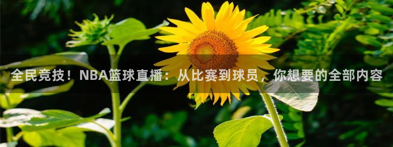 全民竞技！NBA篮球直播：从比赛到球员，你想要的全部内容