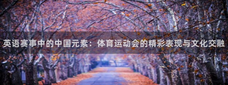 英语赛事中的中国元素：体育运动会的精彩表现与文化交融