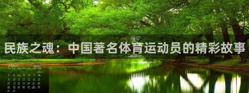 民族之魂：中国著名体育运动员的精彩故事