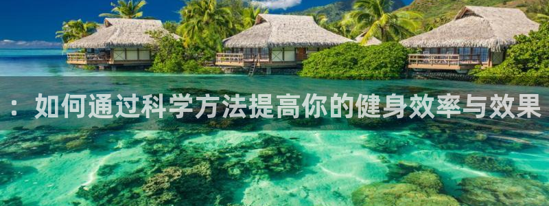 ：如何通过科学方法提高你的健身效率与效果