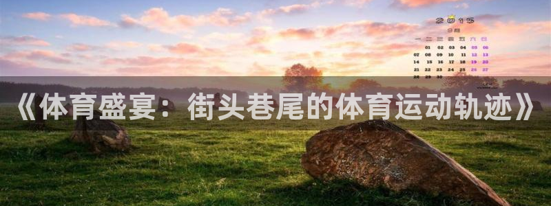 《体育盛宴：街头巷尾的体育运动轨迹》