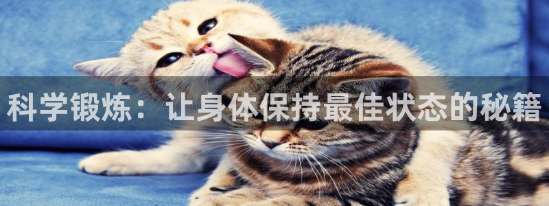 科学锻炼：让身体保持最佳状态的秘籍